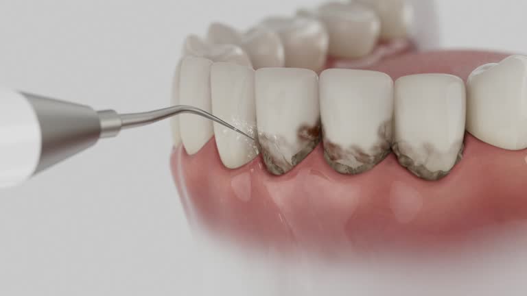 Reliable Dental contractor in Midway, FL by Dentist Open Now